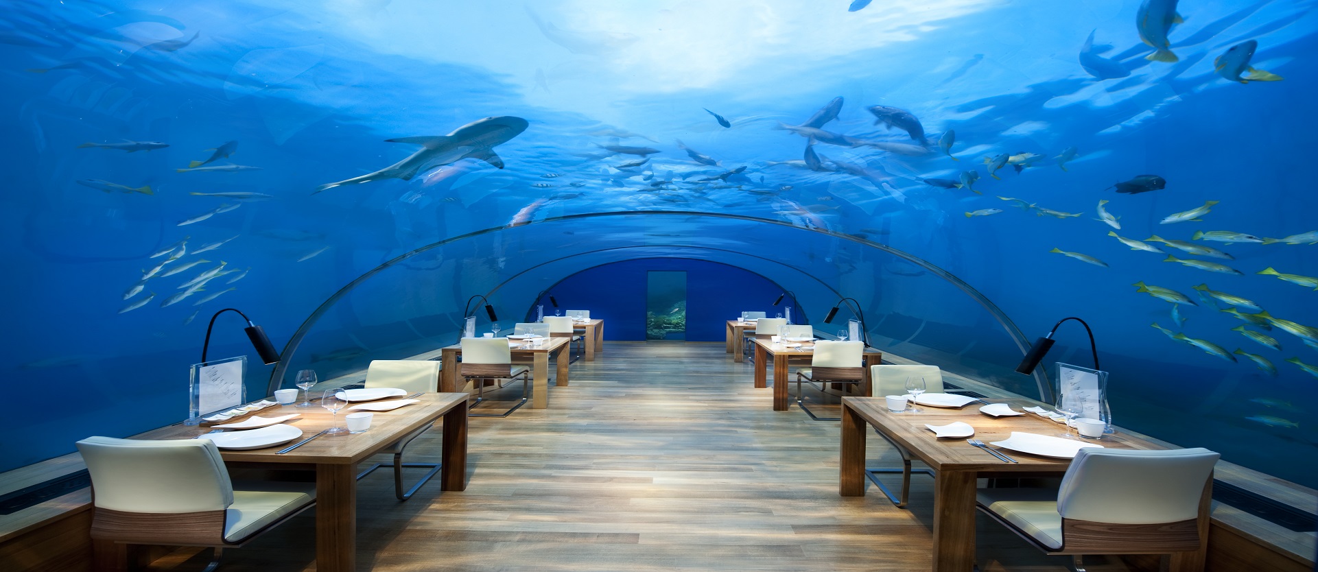 Underwater Restaurant Maldives